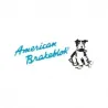 AMERICAN BRAKEBLOK